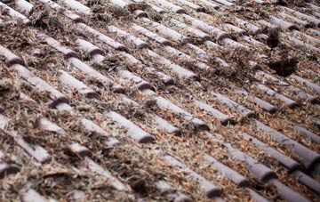 Kingston Seymour roof cleaning companies