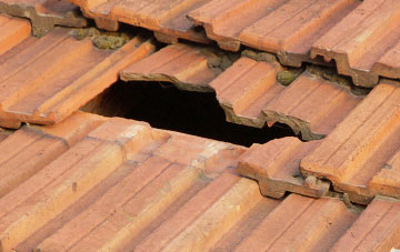 roof repair Kingston Seymour, Somerset